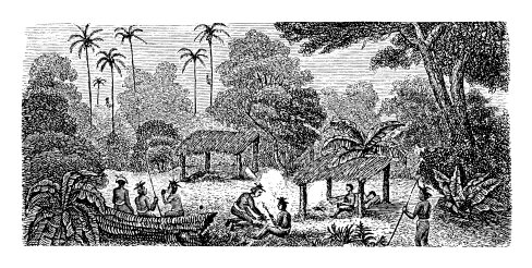 Fernao do Po village | Antique Ethnographic Illustrations